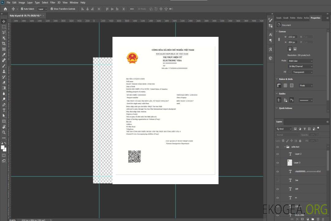 Visa électronique pour le VIETNAM template Visa électronique pour le VIETNAM template